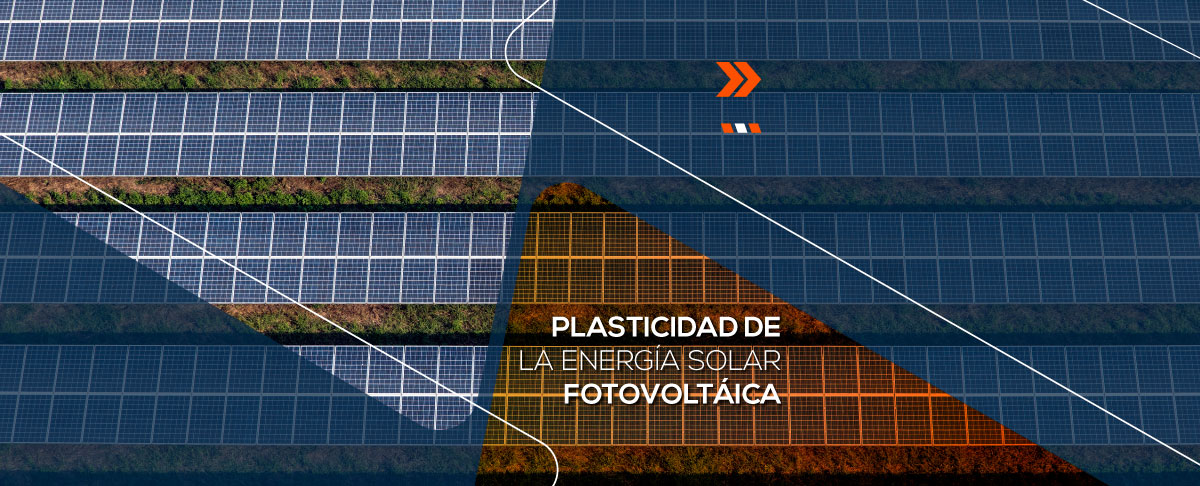 Plasticidad de la energía solar fotovoltaica
