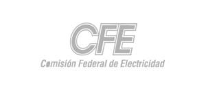 logo_cfe