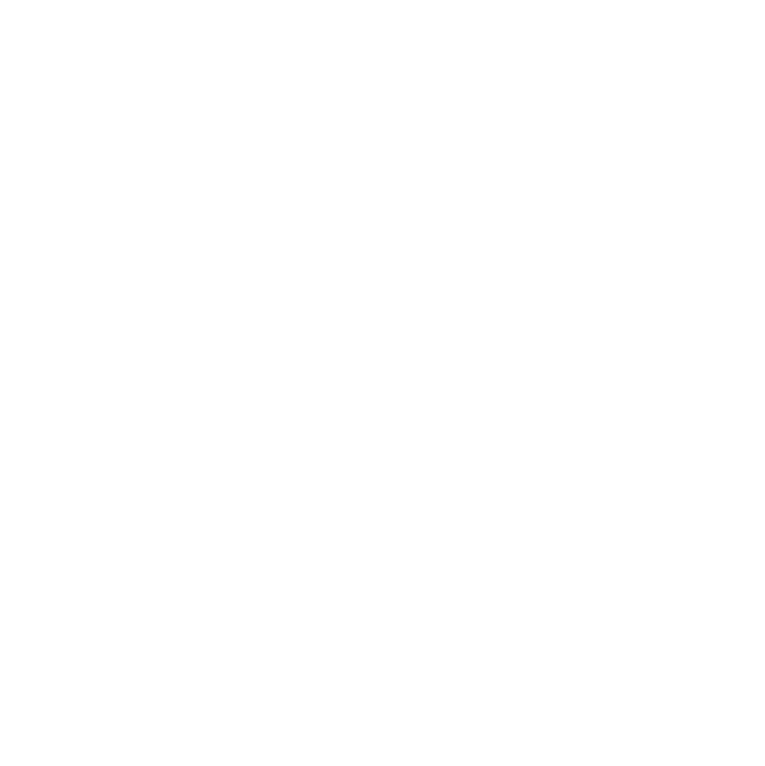 LOGO NXT-working-blanco