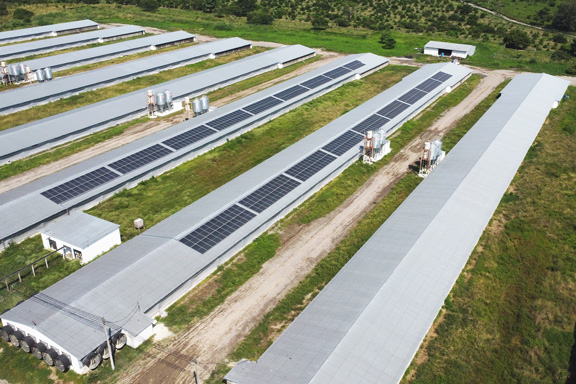 instalacion-solar-bachoco-mexico-nxtsolar